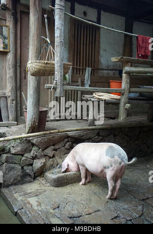 Weiwu - maisons de ferme fermées en forme de forteresse construites pour une famille élargie ou un clan dans le Fujian, en Chine, se composent de charpente en bois dans le système chuandou Banque D'Images