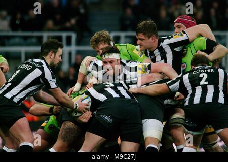 Newcastle Upon Tyne, Angleterre, 24 mars 2018. Michael Young de Newcastle Falcons avec la balle lors d'un maul contre Northampton Saints dans l'AVIVA Premiership "Big One" à St James Park, Newcastle upon Tyne. Crédit : Colin Edwards/Alamy Live News. Banque D'Images