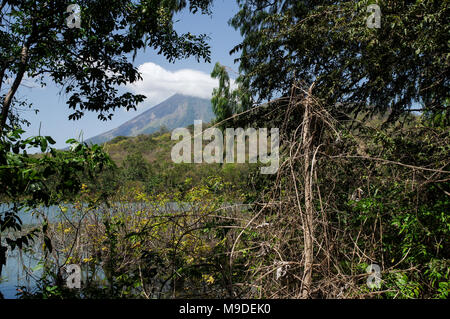 Volcan Concepcion visible de Charco Verde réserve naturelle sur l'île Ometepe - Nicaragua, Amérique Centrale Banque D'Images