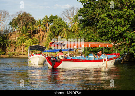 Des excursions en bateau s'arrêter pour regarder les singes araignées sur les îlots de Granada au Nicaragua Banque D'Images