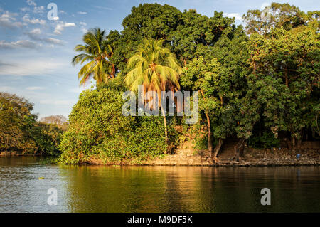 Île privée sur les îlots de Granada au Nicaragua, en Amérique centrale Banque D'Images