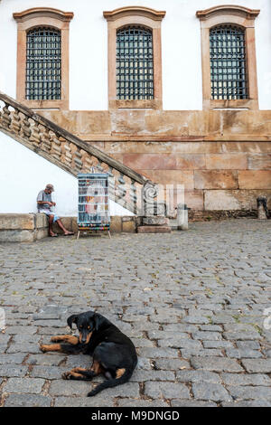 Chien Noir en face de Conspiracy Museum (Museu da Inconfidencia), Tiradentes Plaza (Praça Tiradentes) à Ouro Preto, Minas Gerais, Brésil. Banque D'Images