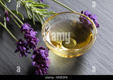 L'huile essentielle de lavande dans un petit bol en verre avec des brindilles de lavande sur fond sombre Banque D'Images