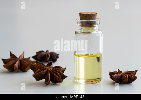 Une bouteille d'anis étoilé huile essentielle avec l'anis étoilé sur fond blanc Banque D'Images