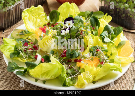 Salade de légumes frais et de brocoli chou avec microgreens, laitue, salade de maïs, orange, de grenade et de l'avocat Banque D'Images