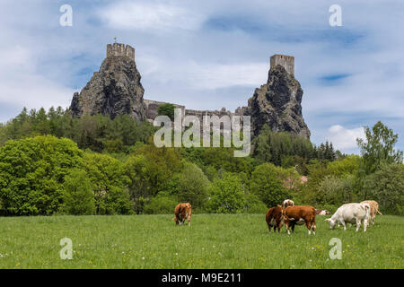 - Château de Trosky, situé près de la ville de Rovensko pod Troskami dans le nord de la République tchèque Banque D'Images