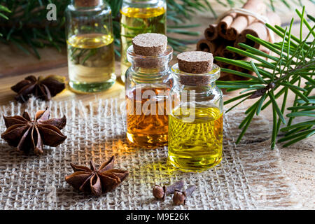 Sélection d'huiles essentielles à la badiane, girofle, cannelle et branches de sapin Banque D'Images