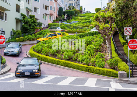 Lombard Street à San Francisco, Californie, USA, célèbre pour ses pentes, un bloc-section avec huit virages en épingle Banque D'Images