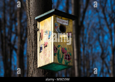 Colorfuly drôle et maisons d'oiseau peint fixé sur un tronc d'arbre. Journée ensoleillée de début de printemps. Banque D'Images