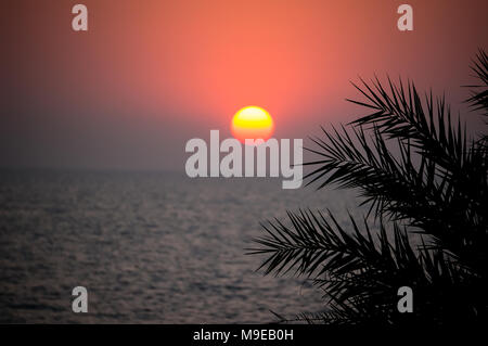 Magnifique coucher de soleil sur la mer dans un pays tropical. Le soleil brille à travers les feuilles d'un palmier. Le soleil se couche derrière l'horizon en mer Banque D'Images