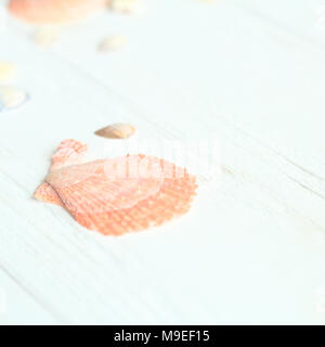 Image de fond de coquillages sur une table en bois.photo avec place pour le texte Banque D'Images