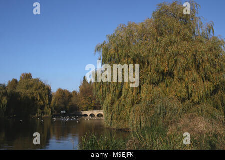 Footscray Meadows Banque D'Images