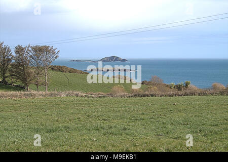 Vue sur l'île haute et basse et la campagne sur la côte ouest de Cork, Irlande Banque D'Images