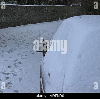 Voitures couvertes de neige tempête après des nuits en Irlande Banque D'Images