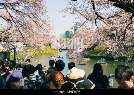 Les gens se rassemblent pour obtenir sur les bateaux à la rangée sur les douves autour du Palais Impérial de Tokyo, Japon pour voir les cerisiers en fleurs à l'approche de la pleine floraison Banque D'Images