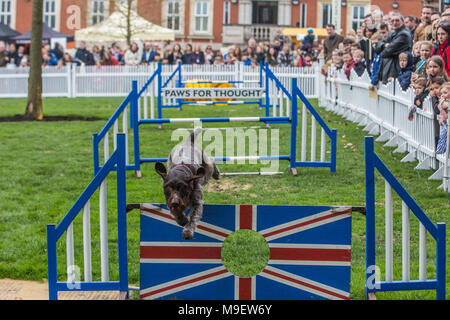 Ascot, UK. 25 mars, 2018. Les visiteurs de la famille Printemps Raceday à Ascot Racecourse profitez d'un chien. Banque D'Images