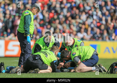 Leicester, UK, Leicester, UK, Leicester, UK, Leicester, UK, Leicester, UK, 25 mars 2018. Aviva Premiership Rugby, Leicester Tigers v guêpes ; Crédit : Nouvelles Images/Alamy Live News Crédit : Nouvelles Images/Alamy Live News Banque D'Images