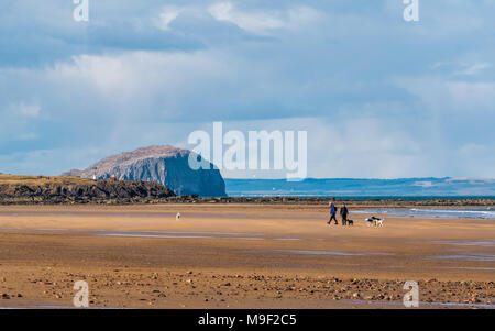 John Muir Country Park, Belhaven Bay, Dunbar, East Lothian, Ecosse, Royaume-Uni, le 25 mars 2018. Soleil du printemps sur une large plage de sable avec ciel bleu et nuages blancs gonflées. Les gens marcher les chiens sur la plage avec bouchon volcanique reste de Bass Rock dans la distance. Bass Rock est la plus grande colonie de fous de Bassan au monde Banque D'Images