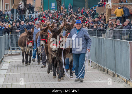 Torrita di Siena, Italie, 25 mars 2018. L'entrée des ânes dans le domaine de la concurrence le 25 mars 2018 à Torrita di Siena, la 62e édition de la Palio dei somari âne (race) a eu lieu à Torrita di Siena, du 17 au 25 mars. © Stefano Mazzola / éveil / Alamy News Banque D'Images