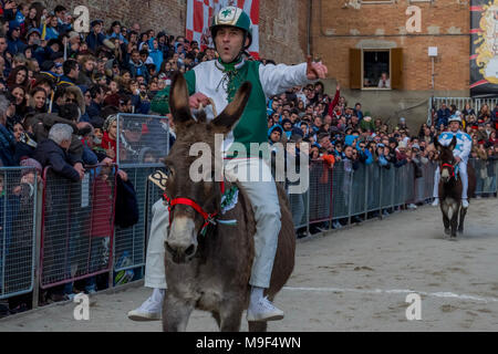 Torrita di Siena, Italie, 25 mars 2018. Les participants concourent sur des ânes à la race de l'Âne le 25 mars 2018 à Torrita di Siena, la 62e édition de la Palio dei somari âne (race) a eu lieu à Torrita di Siena, du 17 au 25 mars. © Stefano Mazzola / éveil / Alamy News Banque D'Images