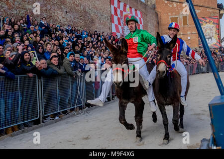 Torrita di Siena, Italie, 25 mars 2018. Les participants concourir sur les ânes Le 25 mars 2018 à Torrita di Siena, la 62e édition de la Palio dei somari âne (race) a eu lieu à Torrita di Siena, du 17 au 25 mars. © Stefano Mazzola / éveil / Alamy News Banque D'Images