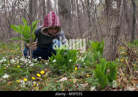 Petite fille adolescente dans la forêt trouver et coupe les premières fleurs de perce-neige après le départ de l'hiver et l'arrivée du printemps. Bienvenue au printemps Banque D'Images