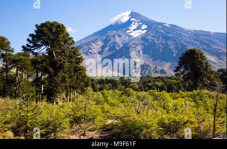 Vue générale du Volcan Lanin Andes de Patagonie dans à la frontière de l'Argentine et le Chili Banque D'Images