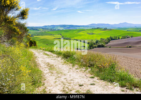 Sentier de randonnée dans un paysage toscan Banque D'Images