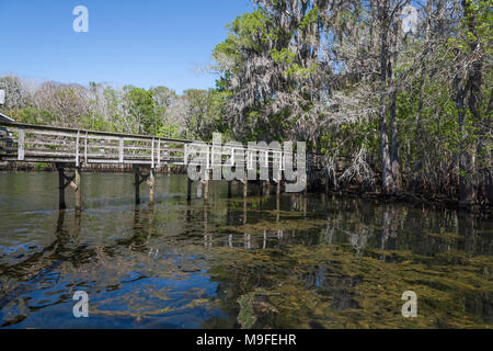 Manatee Springs State Park, Floride Boardwalk Banque D'Images