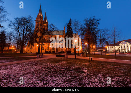 La Cathédrale Basilique de Sainte Marie de l'Assomption à Wloclawek. Wloclawek, Pologne, voïvodie de Cujavie-Poméranie. Banque D'Images