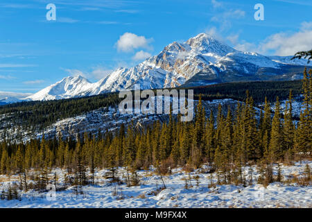 Pyramide 42 750,09097 Mountain (NW de Jasper) vu de S Overland Trail à l'Est de l'autoroute 16, à l'ENE de Jasper, Alberta, Canada ; forêts de conifères collines Banque D'Images