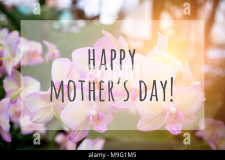 Happy mothers day texte sur fond fleurs floues Banque D'Images