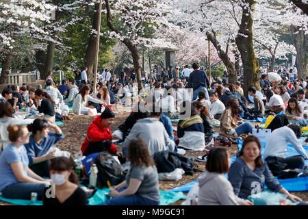 Tokyo, Japon. Mar 26, 2018. Les gens apprécient pleinement a fleuri cerisiers à Ueno Park le 26 mars 2018, Tokyo, Japon. Ueno est un des endroits les plus populaires à Tokyo pour voir les cerisiers Hanami durant la saison. Credit : Rodrigo Reyes Marin/AFLO/Alamy Live News Banque D'Images