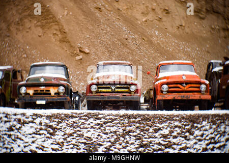 Une rangée de vieille Ford 1953, 1954 et 1955, les camionnettes, dans une ancienne carrière, à l'Est de l'Idaho Clark Fork. Banque D'Images