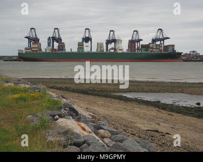 Port de Felixstowe, Suffolk, UK, 11 juin 2017 : grues conteneurs sur le cargo Elpida Thalassa Banque D'Images