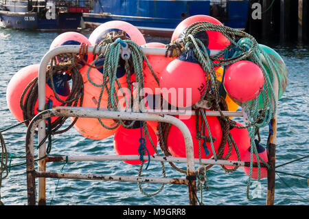 Des bouées de marquage de couleur vive utilisée par les pêcheurs de shell pour marquer l'emplacement de leur crabe ou des casiers à homard Banque D'Images