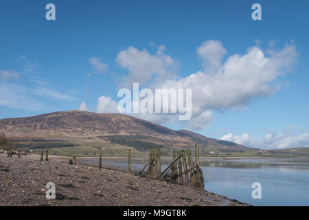 Restes d'une jetée du xixe siècle sur la plage à Carsethorn Criffel, avec en arrière-plan, la région de Dumfries et Galloway, en Écosse. Banque D'Images