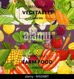 L'agriculture bio les flyers set Illustration de Vecteur