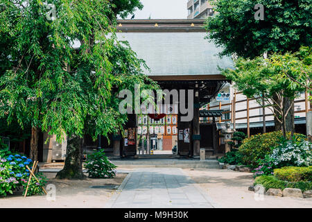 Fukuoka, Japon - 11 juin 2017 : Kushida-jinja, sanctuaire japonais Banque D'Images