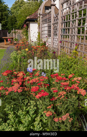 Vue d'été de sunlit arbour & tunnel frontière herbacées colorées - beautiful, conçu, aménagé, le jardin traditionnel, West Yorkshire, Angleterre, Royaume-Uni. Banque D'Images
