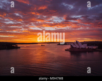 Magnifique soleil sur le port de Sydney Banque D'Images