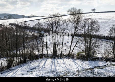 Les entreprises rurales dans la neige près de Dunsford, Dartmoor National Park, Devon,Teign Valley,edge, marge, frontière, côté, bord, rim, lèvre, limite, limite, périphérie Banque D'Images