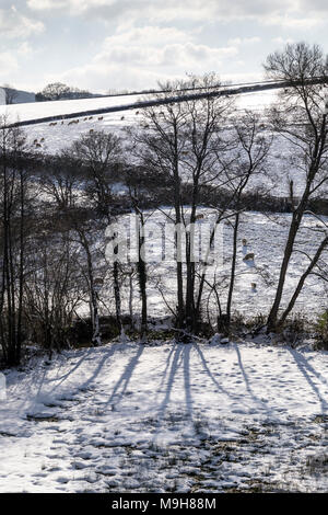 Les entreprises rurales dans la neige près de Dunsford, Dartmoor National Park, Devon,Teign Valley,edge, marge, frontière, côté, bord, rim, lèvre, limite, limite, périphérie Banque D'Images