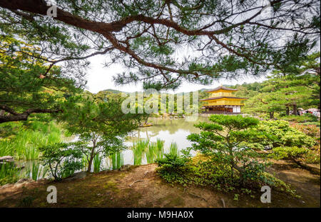 Le JAPON, KYOTO- 7 juin 2015 : Temple Kinkakuji derrière des arbres, la célèbre temple bouddhiste Zen à Kyoto, Japon Banque D'Images