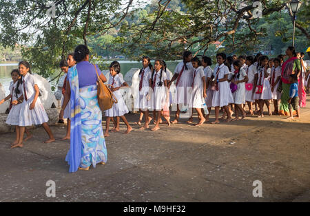 Les élèves de l'école et les enseignants à marcher en direction de Temple de la dent, Kandy, Sri Lanka, en Asie. Banque D'Images