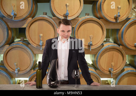 L'inspection de qualité de vigneron vin rouge, debout près de bouteilles Casiers dans winery vault Banque D'Images