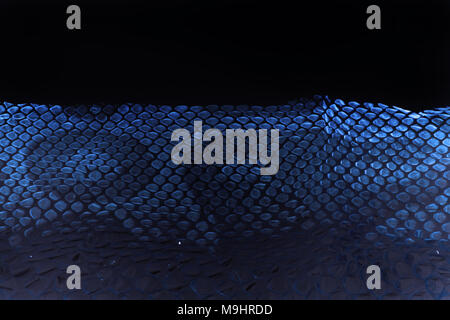 Cast-off veste peau de serpent Python royal sur fond blanc. le traitement informatique, de l'inversion. Banque D'Images