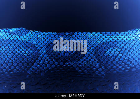 Cast-off veste peau de serpent Python royal sur fond blanc. le traitement informatique, de l'inversion. Banque D'Images