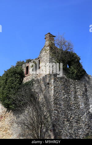 Ruines du château médiéval, un mur couvert de lierre, Gray et pierre ocre, ciel bleu, Röttler Schloss Forêt Noire Allemagne Banque D'Images