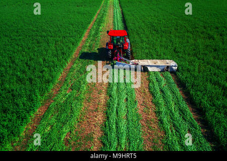 Le fauchage du tracteur champ vert, vue aérienne. Banque D'Images